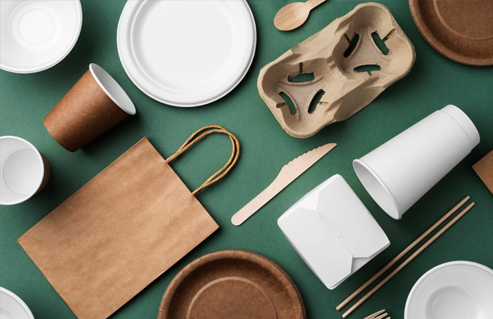 Salad Paper Bowl: Panduan Jenis, Kegunaan & Kompos