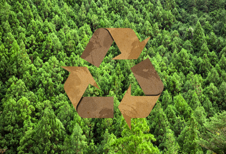 Panduan FSC & EUDR & PEFC untuk Pengadaan Perlengkapan Katering Sekali Pakai